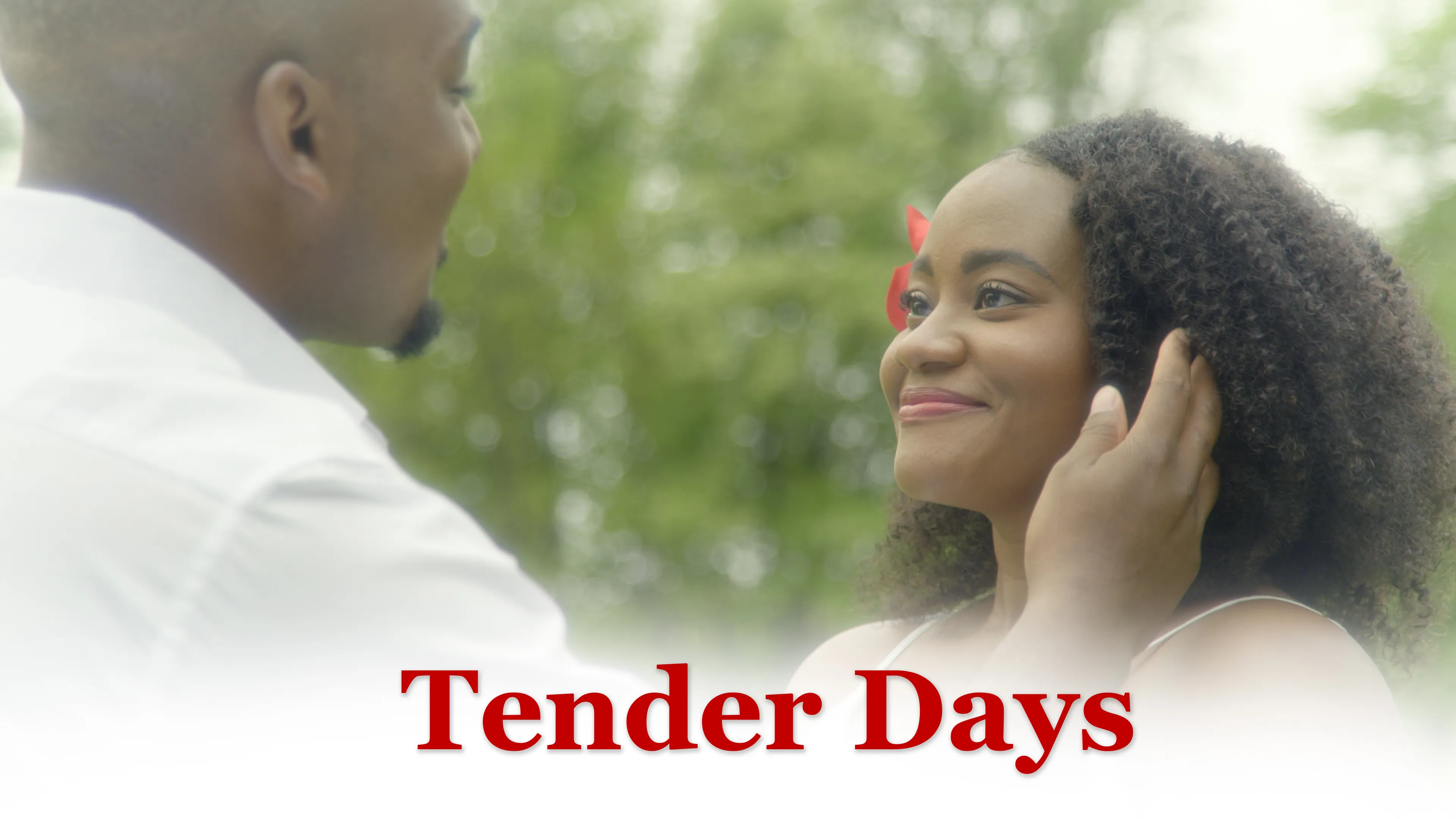 Tender Days poster